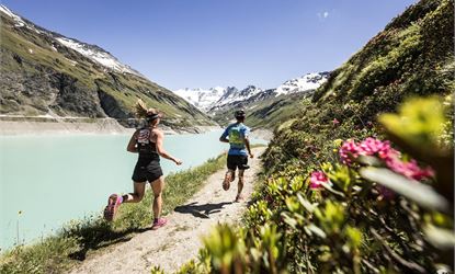 Swiss Peaks Trail