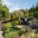 Les jardins de l'eau du Pré Curieux