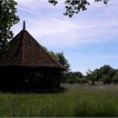 Arboretum de Ripaille