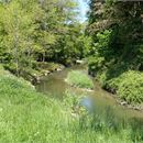 Randonnée pédestre : La légende du Moulin de la Serpe