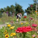 Les jardins de l'eau du Pré Curieux