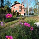 Les jardins de l'eau du Pré Curieux