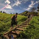 Trails de la vallée du Brevon