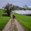 Trails de la vallée du Brevon