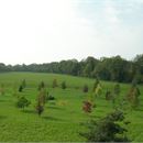 Mémorial National des Justes - "La Clairière des Justes"