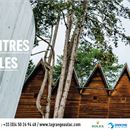 Rencontres Musicales d'Evian