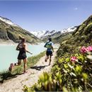 Swiss Peaks Trail