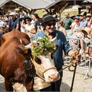 La Belle Dimanche : la fête des alpages (47ème édition)