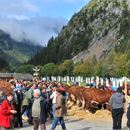 Foire d'Automne et Salon International de la Race et du Fromage Abondance
