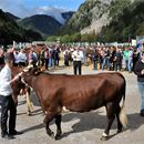 Foire d'Automne et Salon International de la Race et du Fromage Abondance