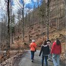 Journées du Patrimoine de Pays - Balade Branchée à Abondance