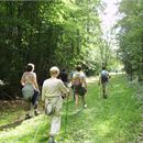 Forêt de Ripaille