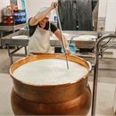 Visite de la Fruitière des Perrières